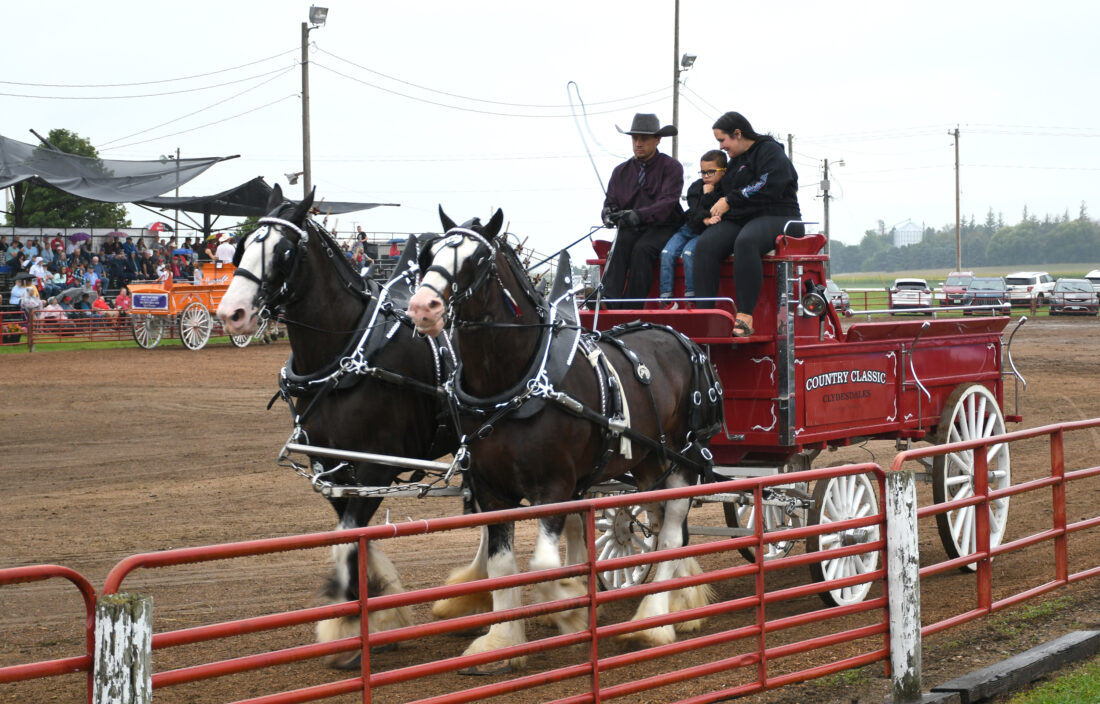 Britt Draft Horse Show marks 45 years